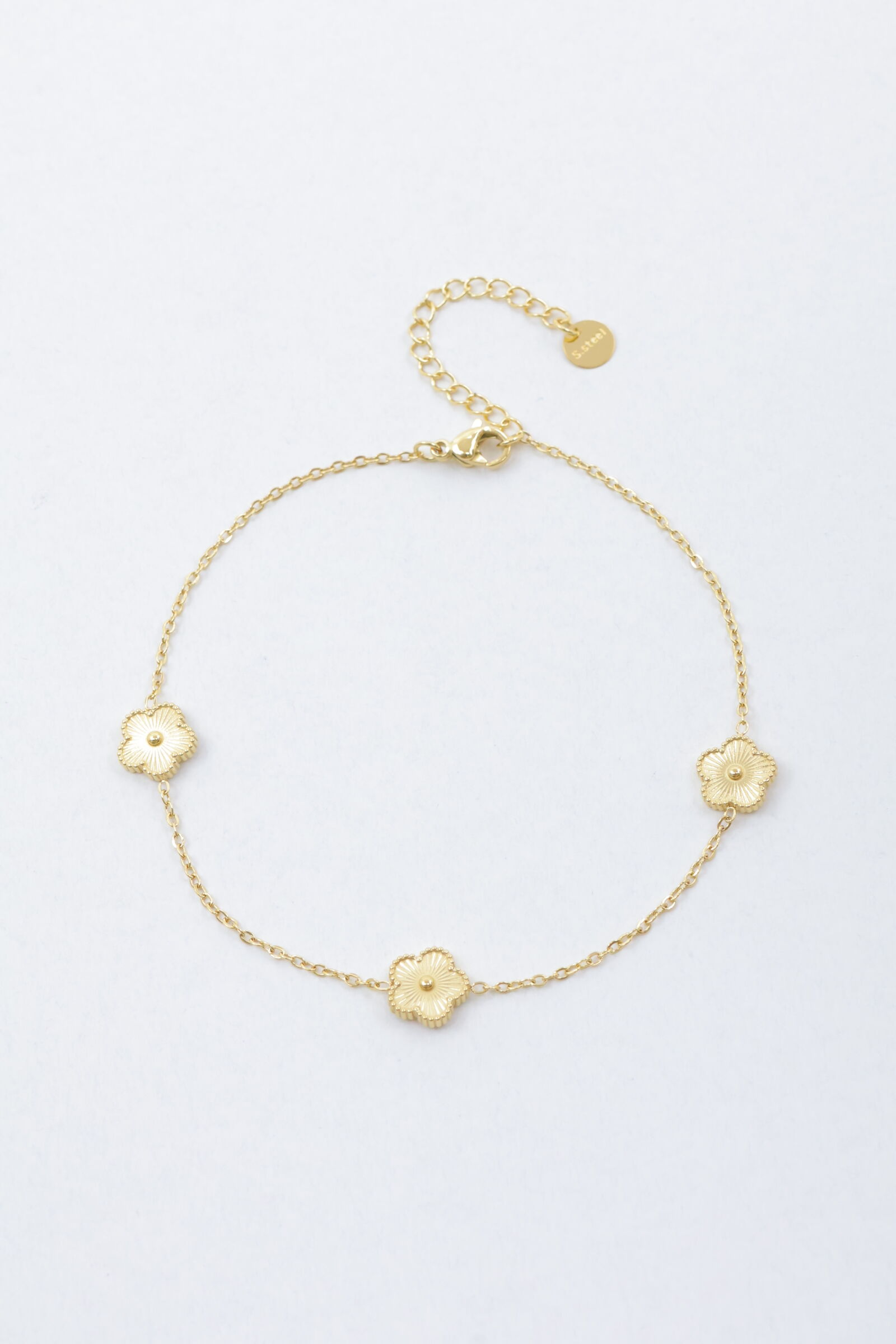 Cadena de tobillo de acero inoxidable - A2250