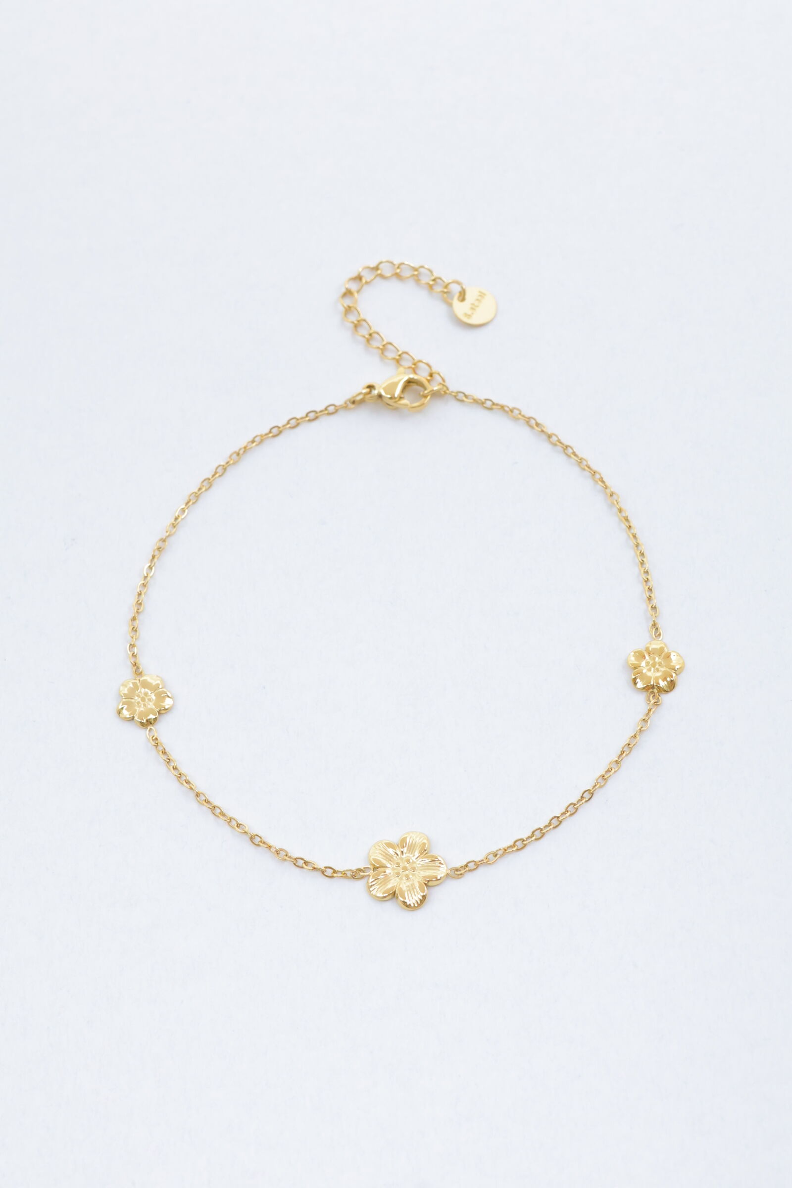 Cadena de tobillo de acero inoxidable - A2268