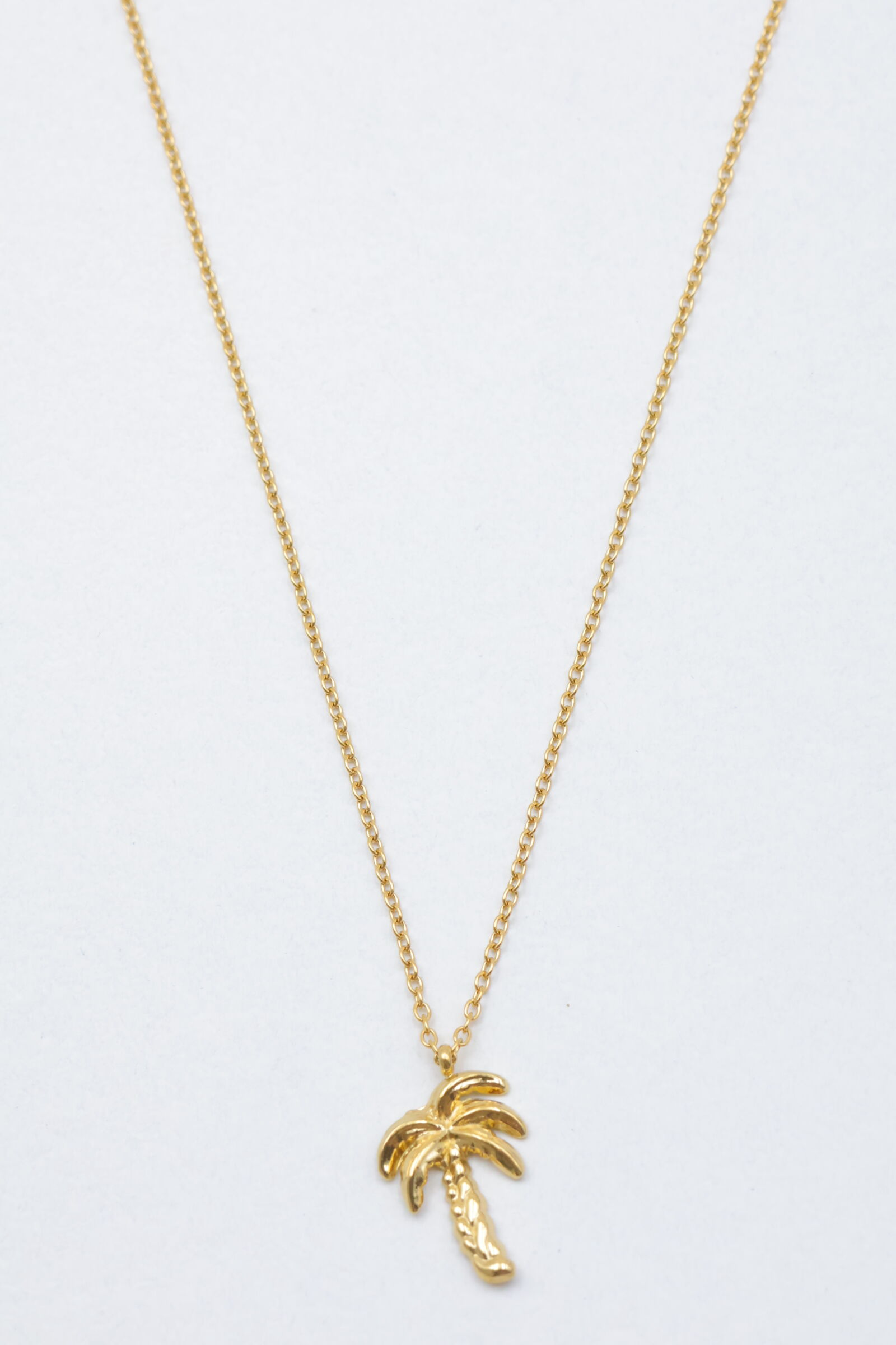 Collar de acero inoxidable - ZC37