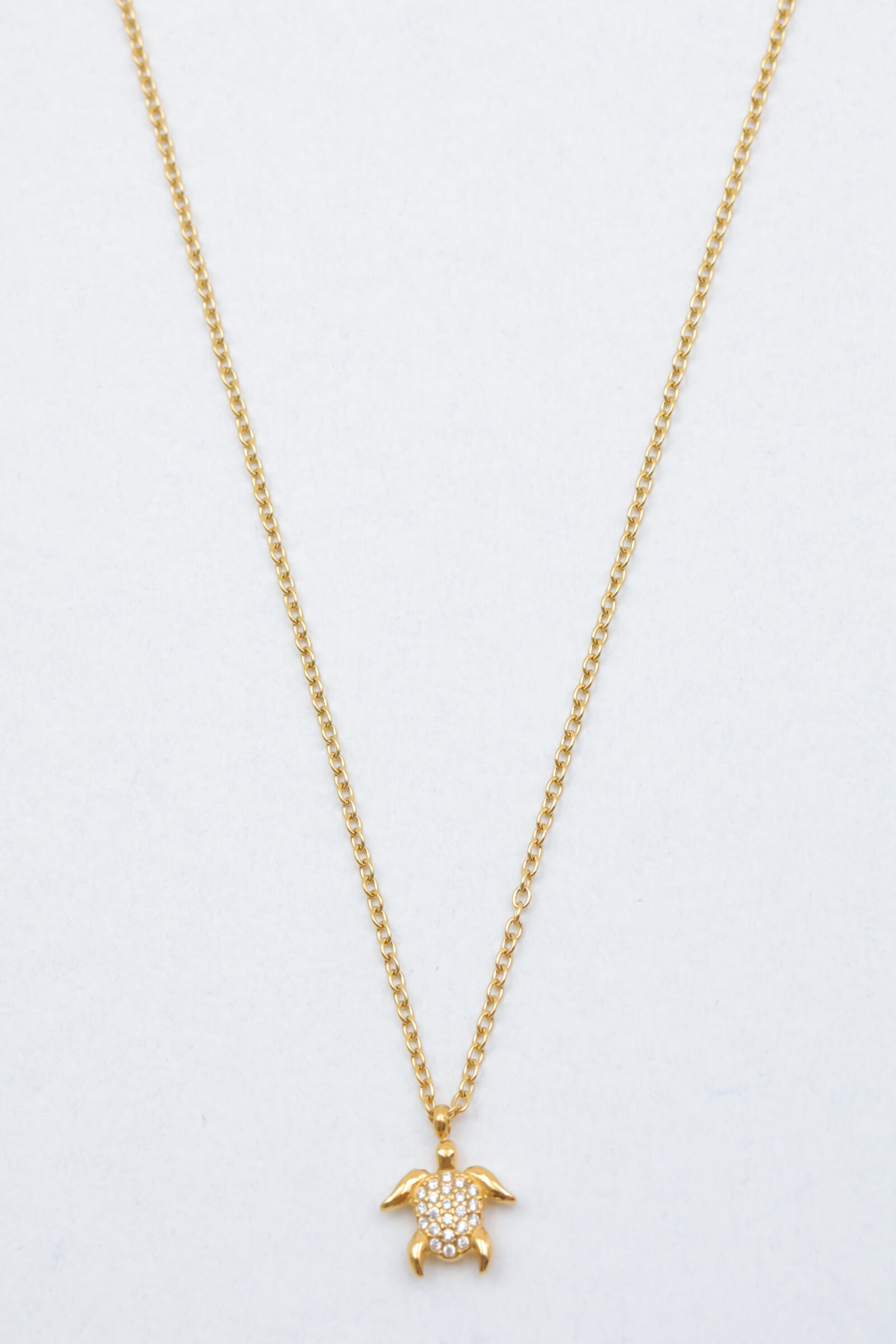 Collar de acero inoxidable - ZC40