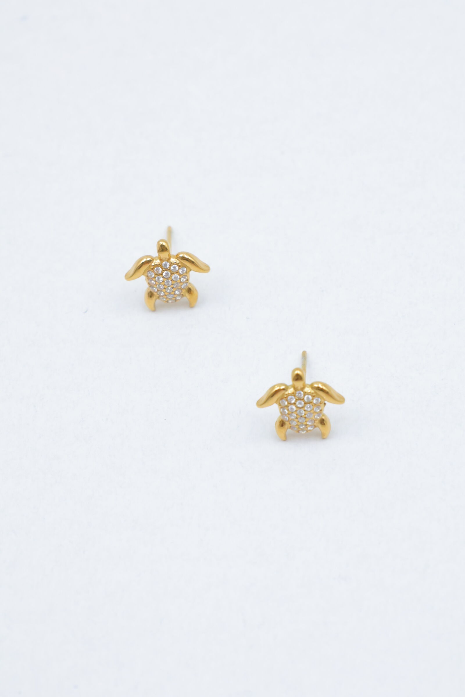 Pendientes de acero inoxidable - ZC40C