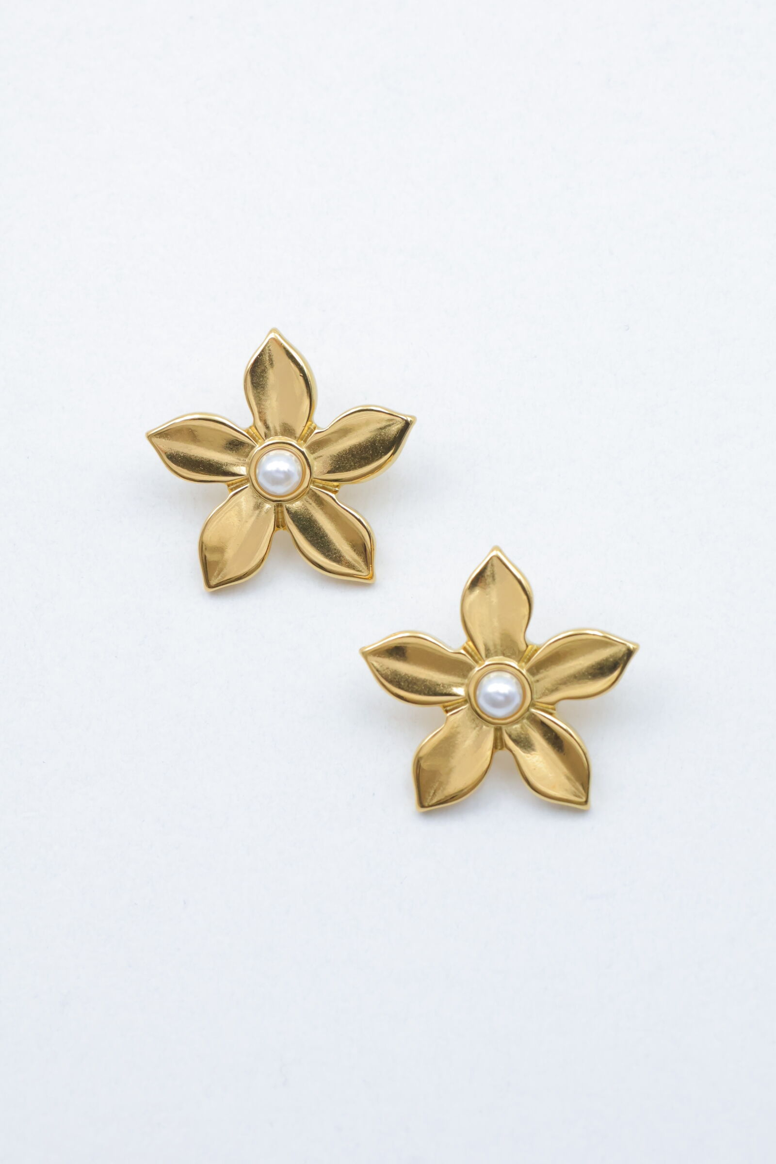 Ohrringe aus Edelstahl - E645(2)