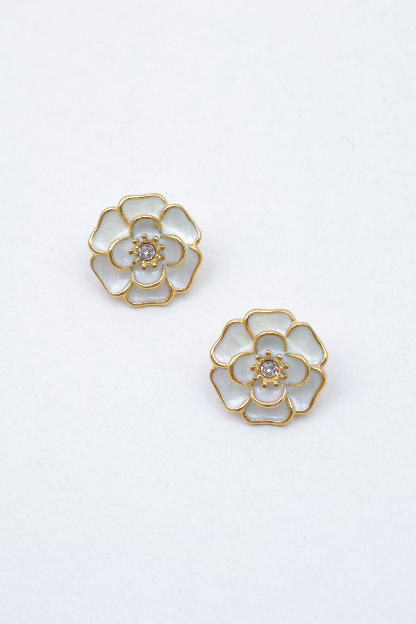 Orecchini in acciaio inossidabile - E733