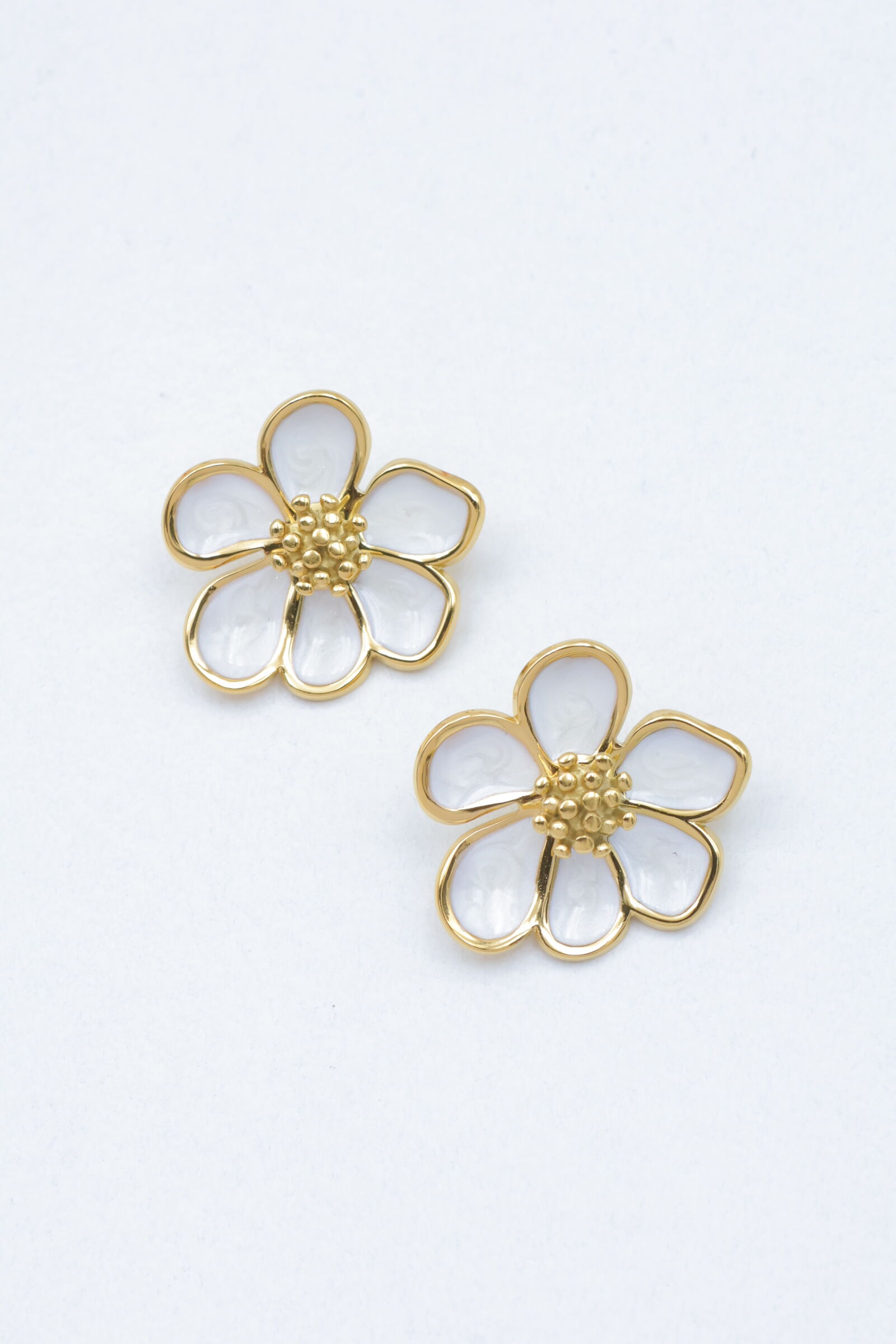 Orecchini in acciaio inossidabile - ZC34