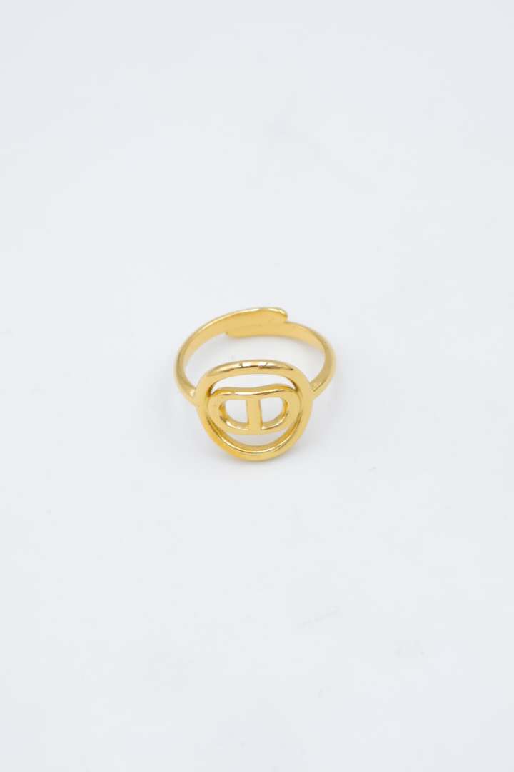 Verstellbarer Edelstahlring - E446-V2