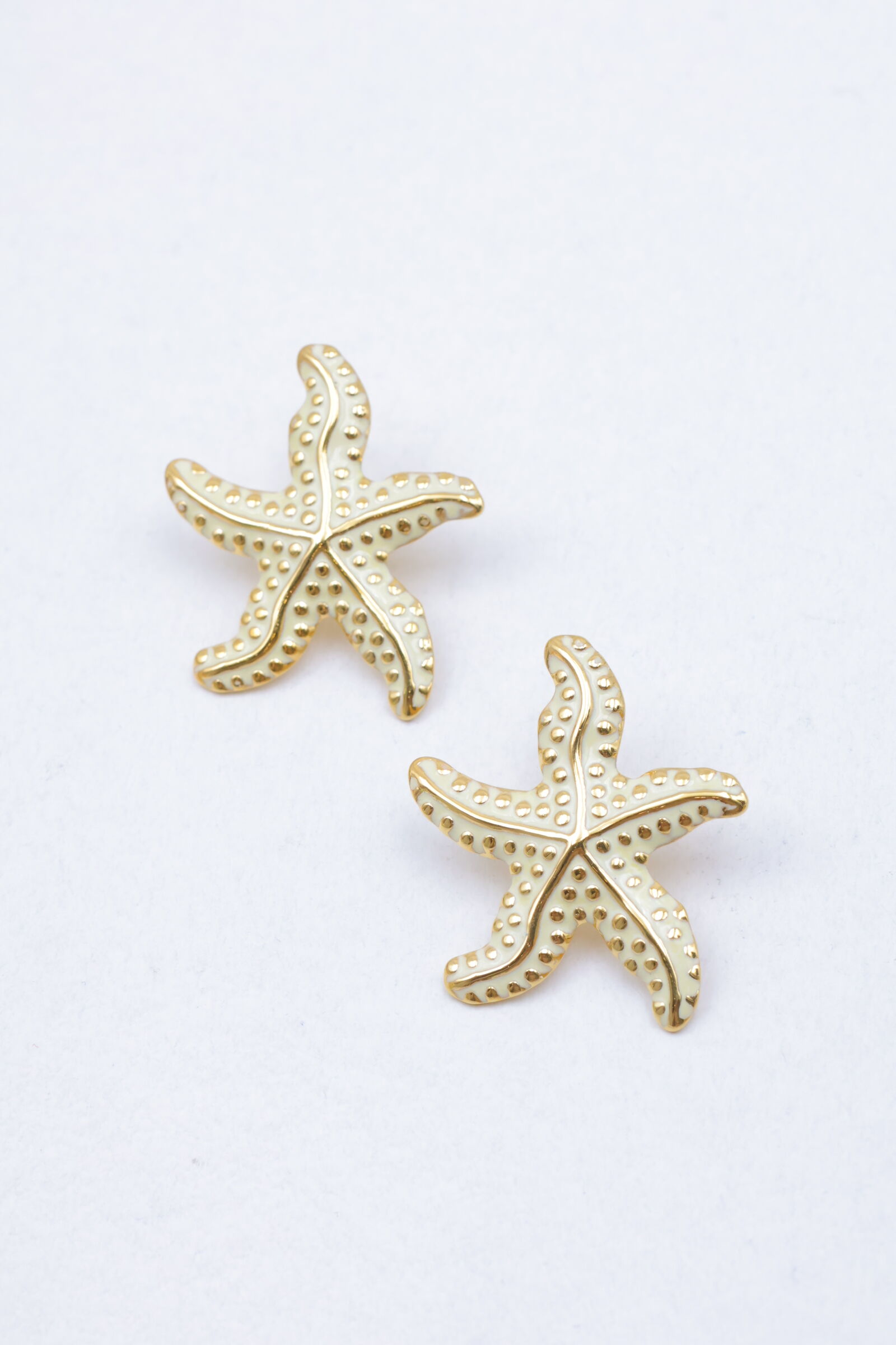 Ohrringe aus Edelstahl - ZC32B