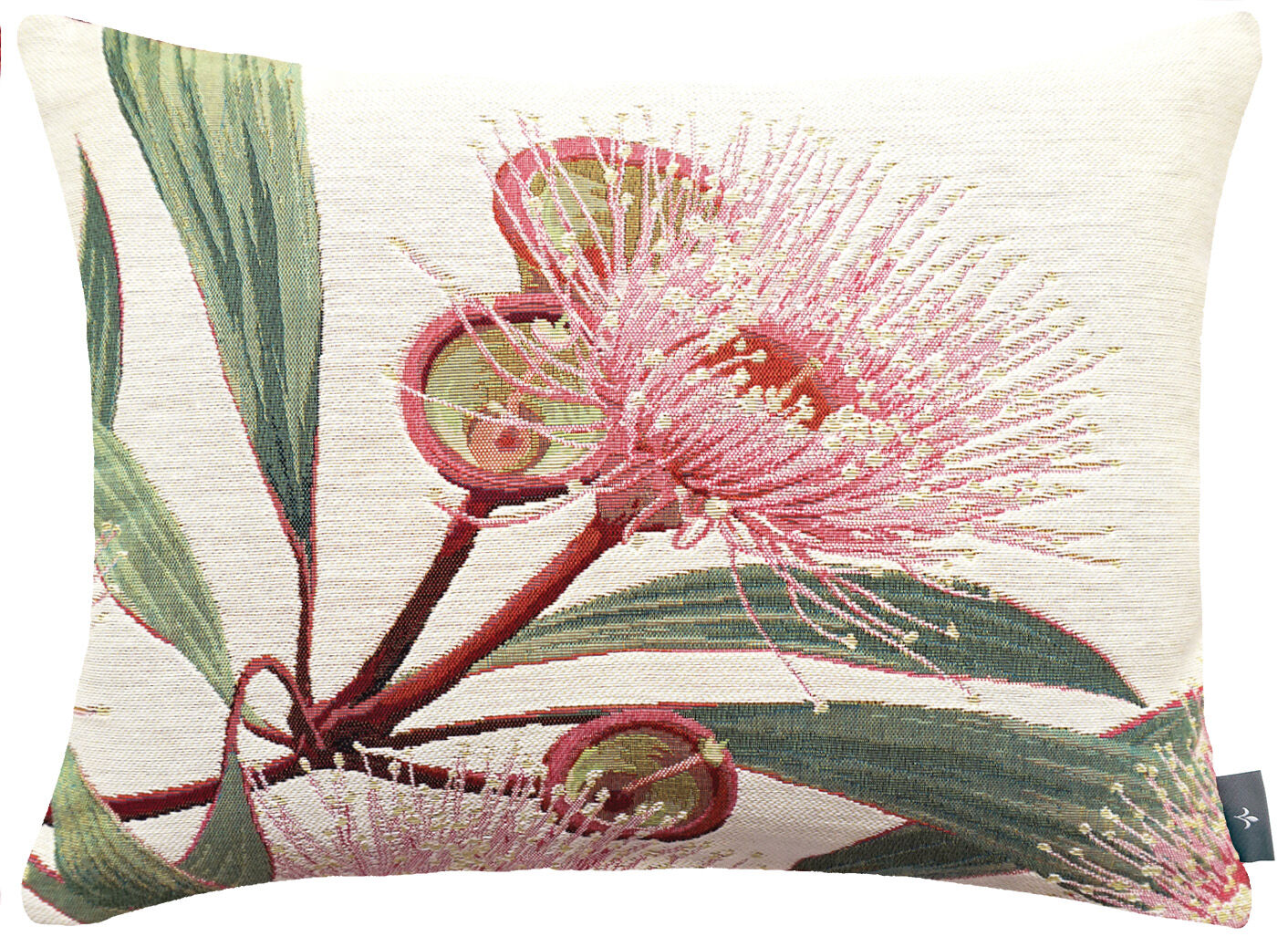 Großer rechteckiger Kissenbezug mit Eukalyptusblüten