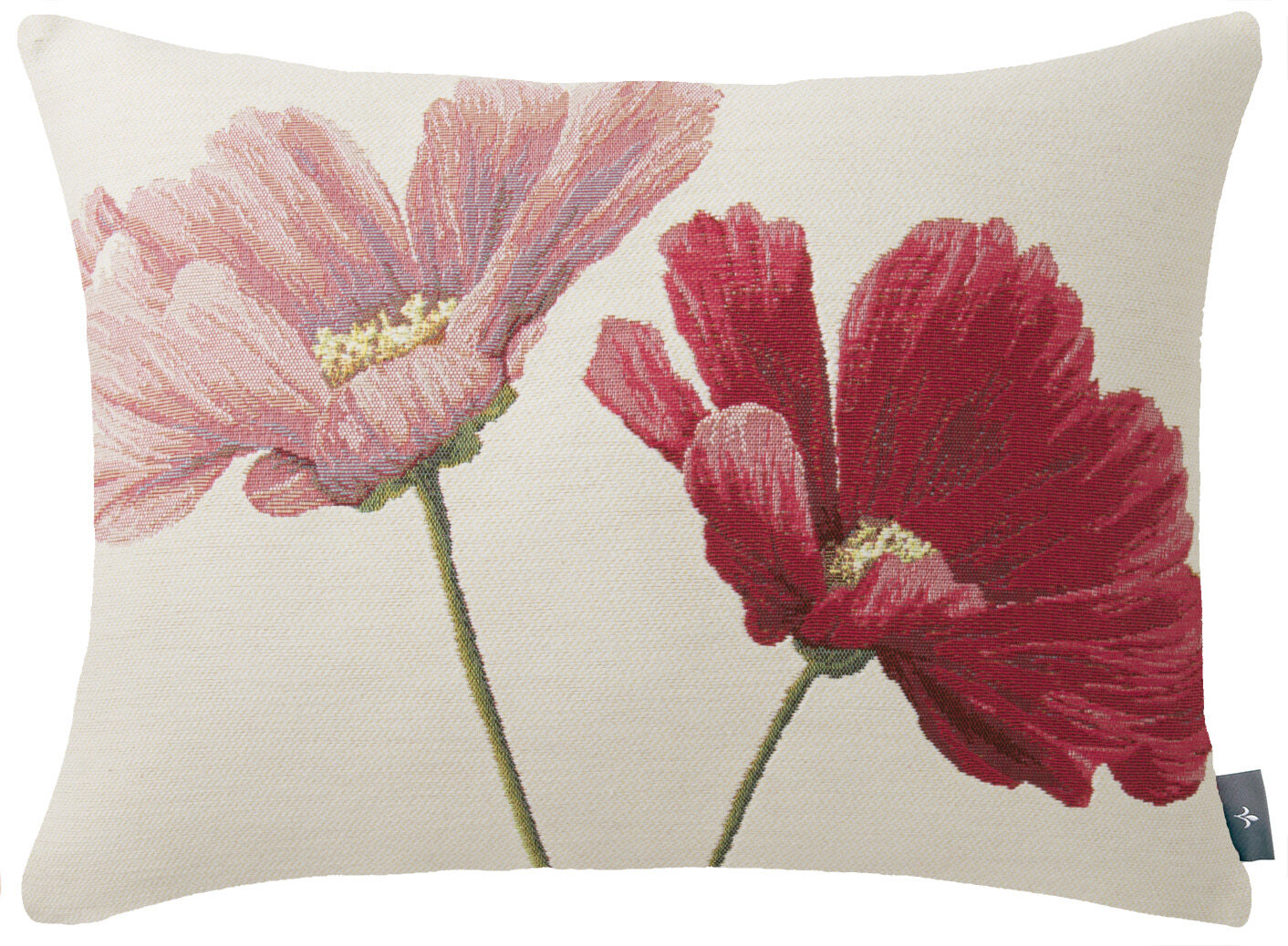 Zoom Cosmos Kissenbezug