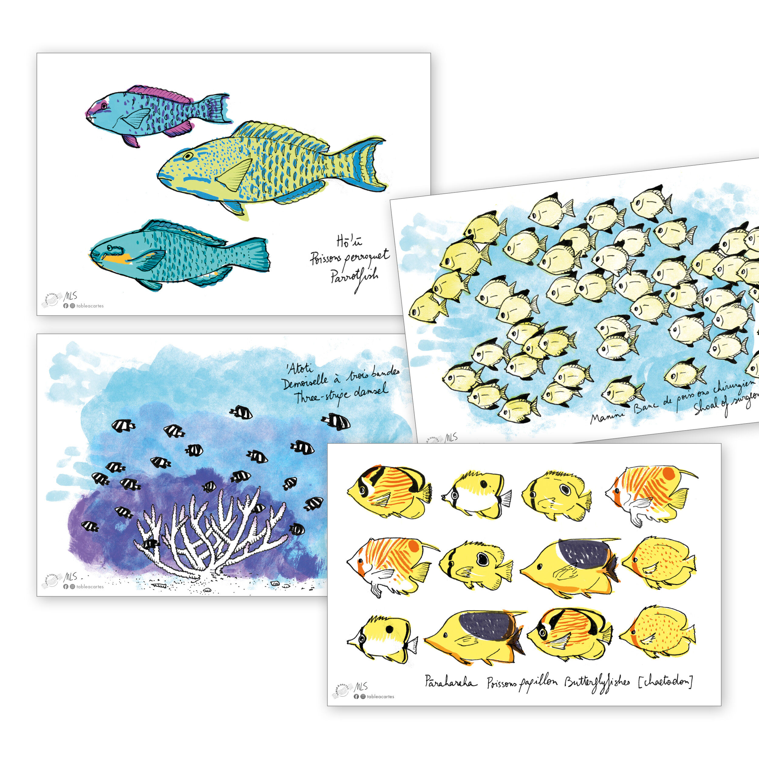 4 Karten des Poissons du Lagon