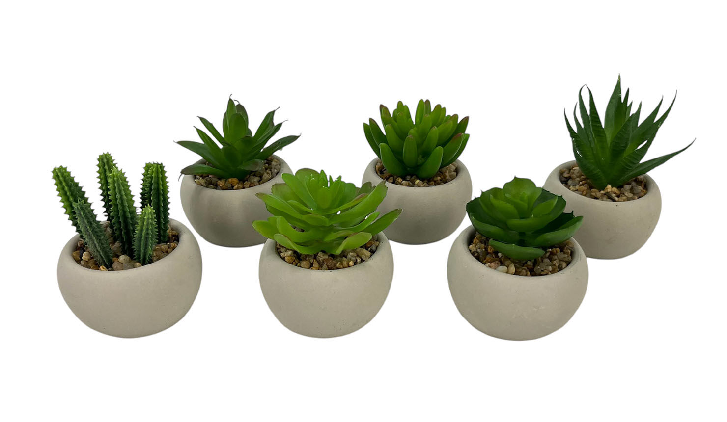 p>

<p>C.Assortiment de plantes succulentes en ciment, 8 cm de haut., 6 cm An.