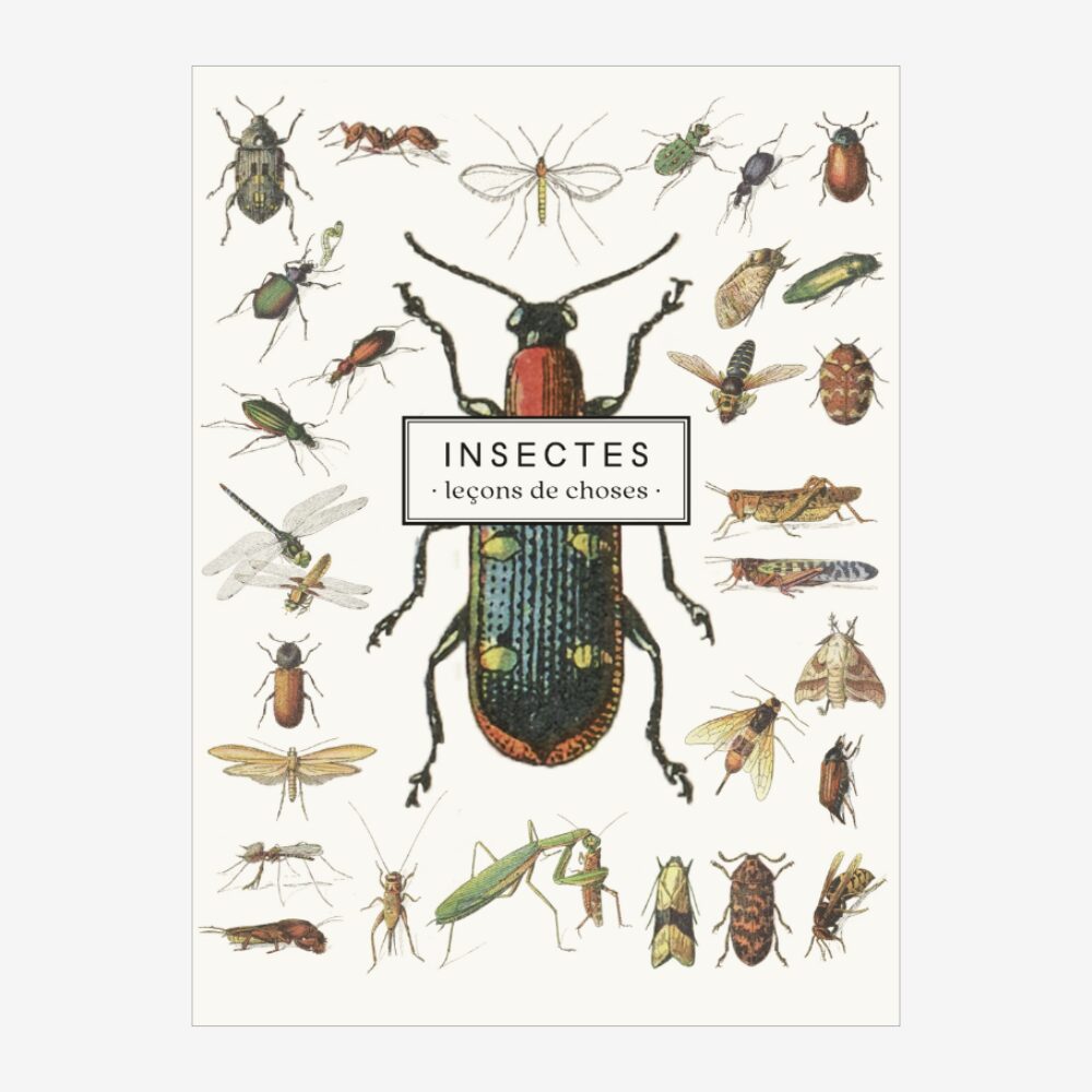 Insect Notebook