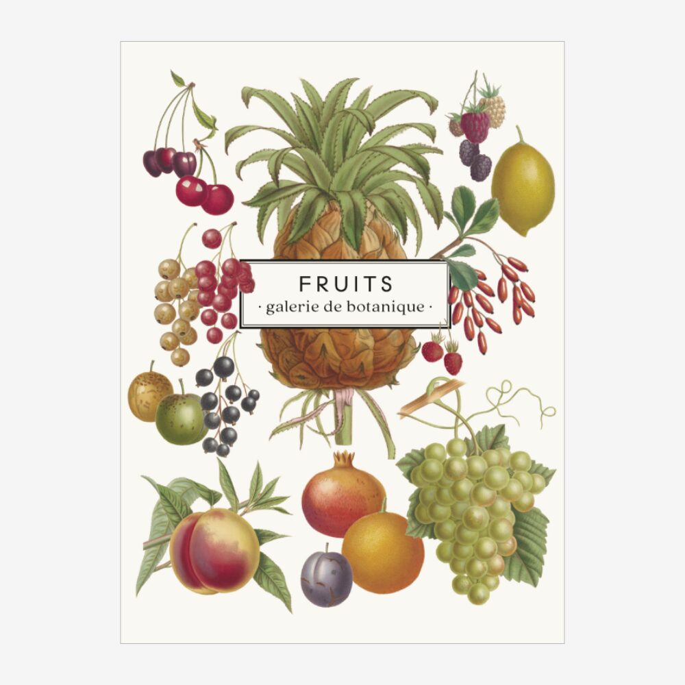 Fruit Notebook