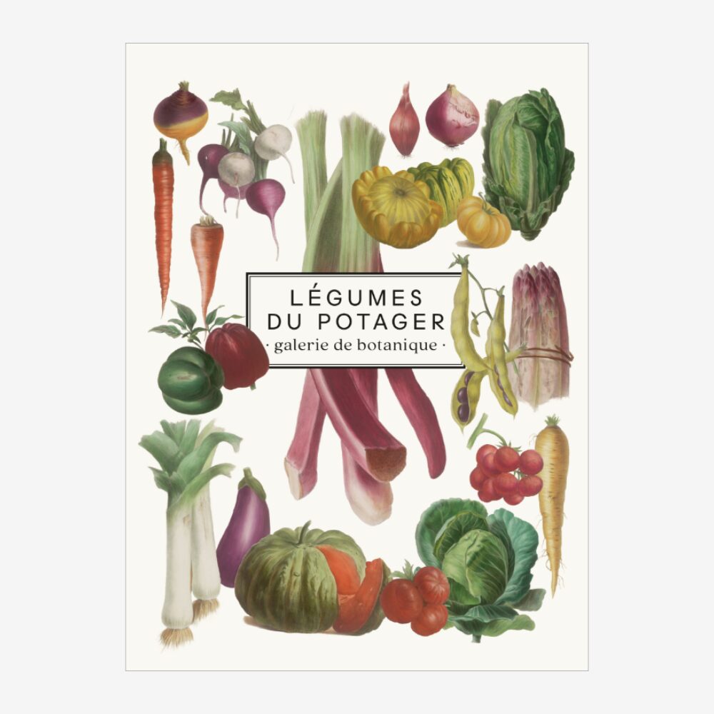 Vegetable Notebook