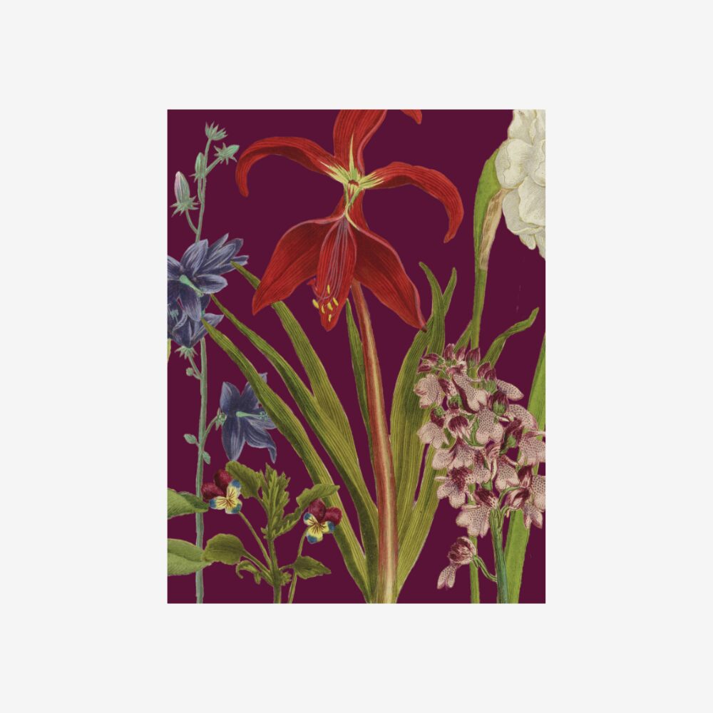 Small Garden Notebook