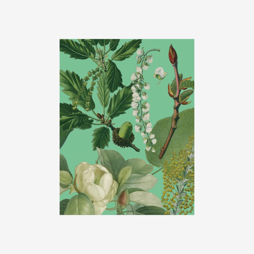 Small notebook Trees