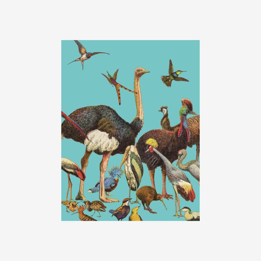 Small Birds Notebook
