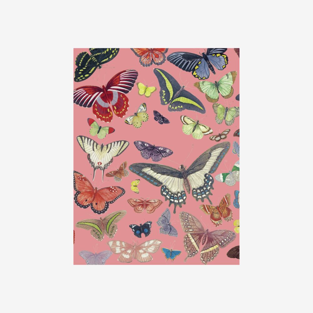 Small Butterfly Notebook