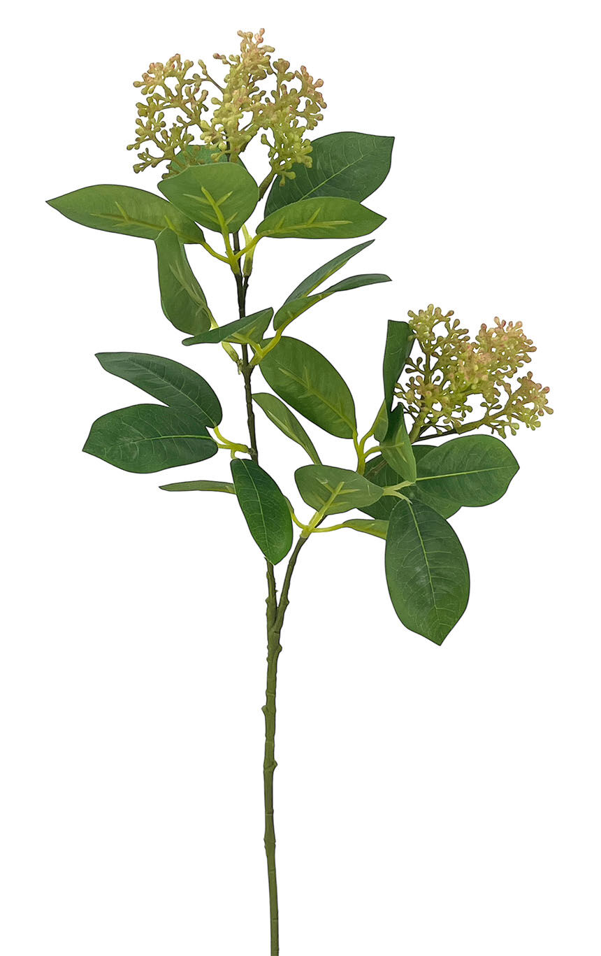 R.Esquimia Plást.Verde Cl. 70Cm
