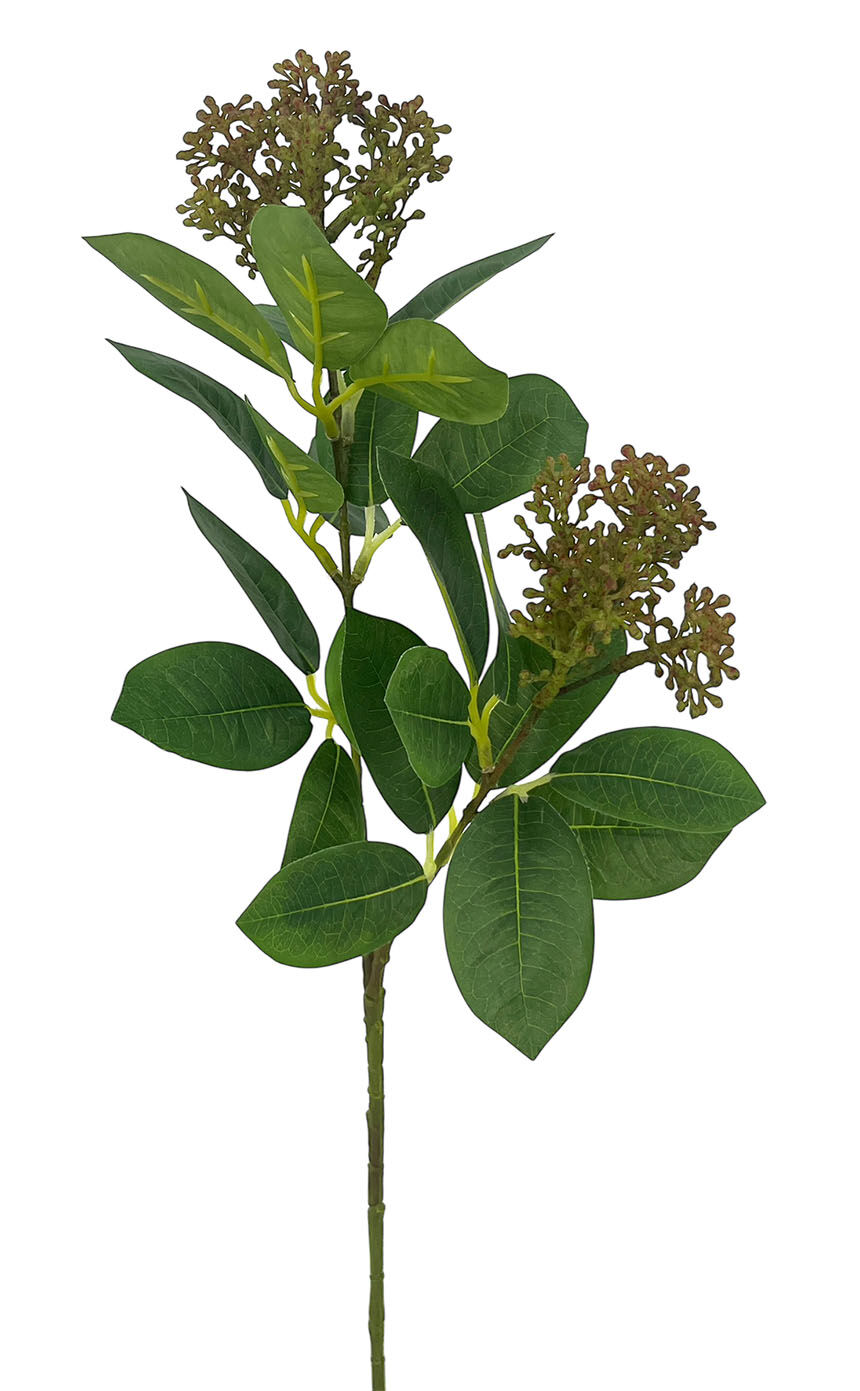 R.Esquimia Plást.Verde Osc.. 70Cm