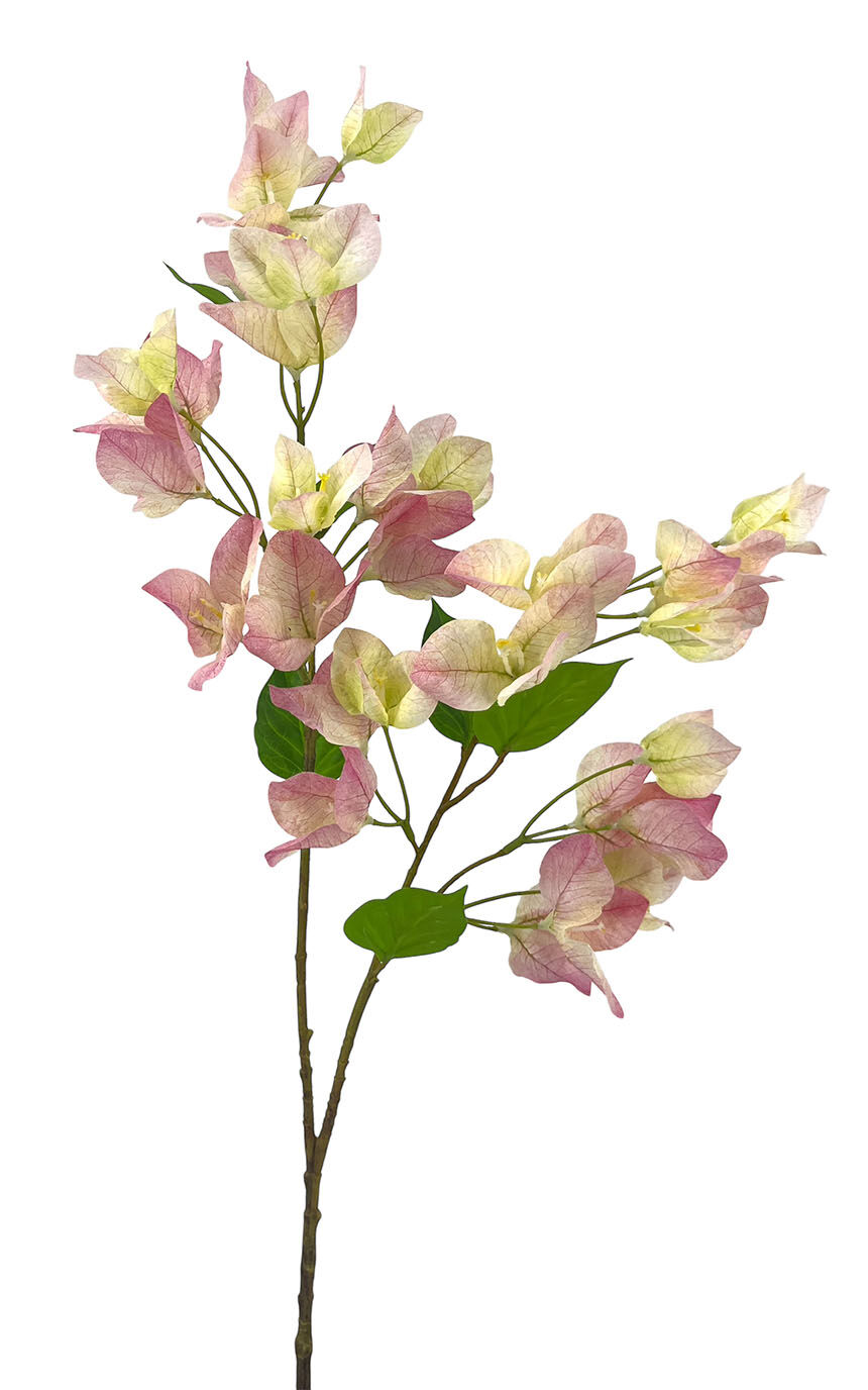 R.Buganvilla Polister Rosa 75Cm