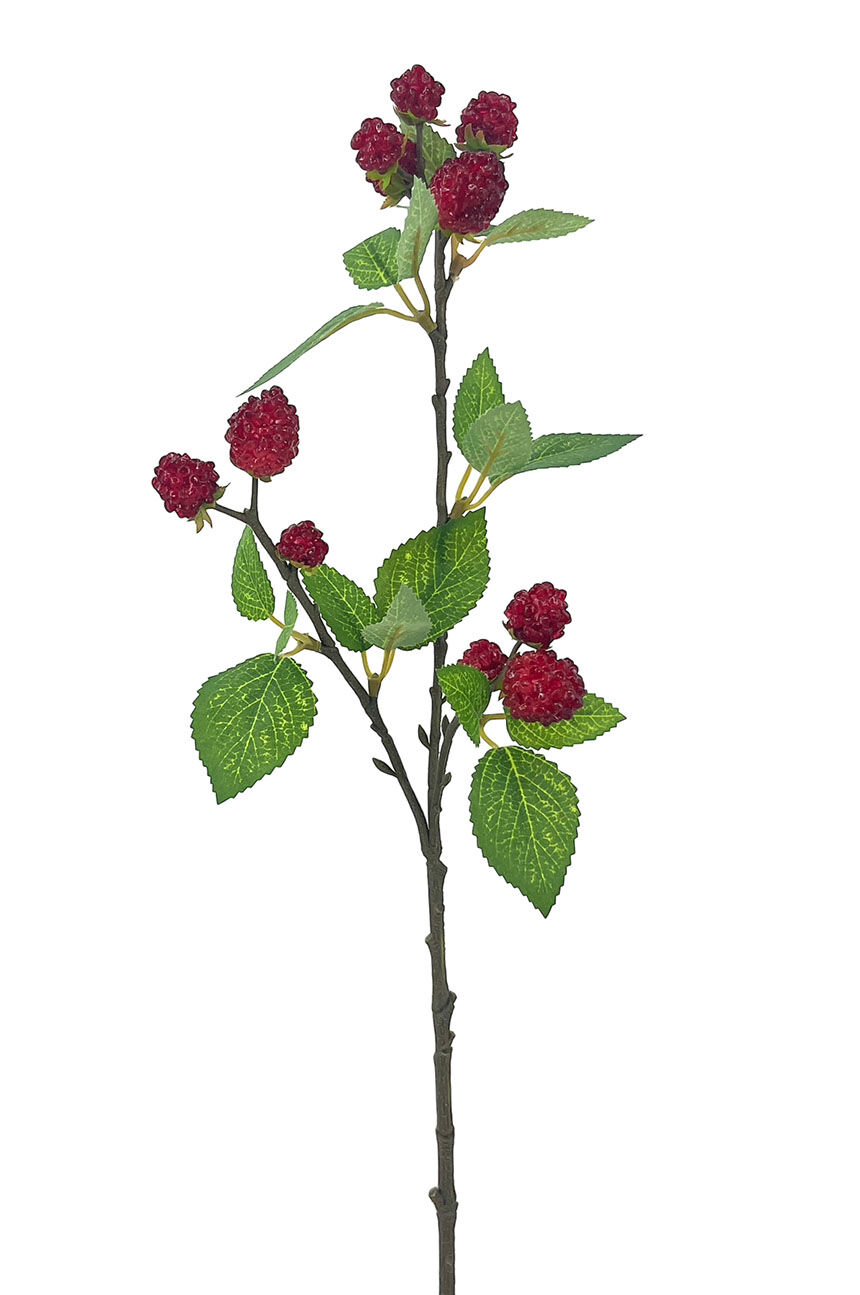 R.Moras Plástico X11, 64Cm