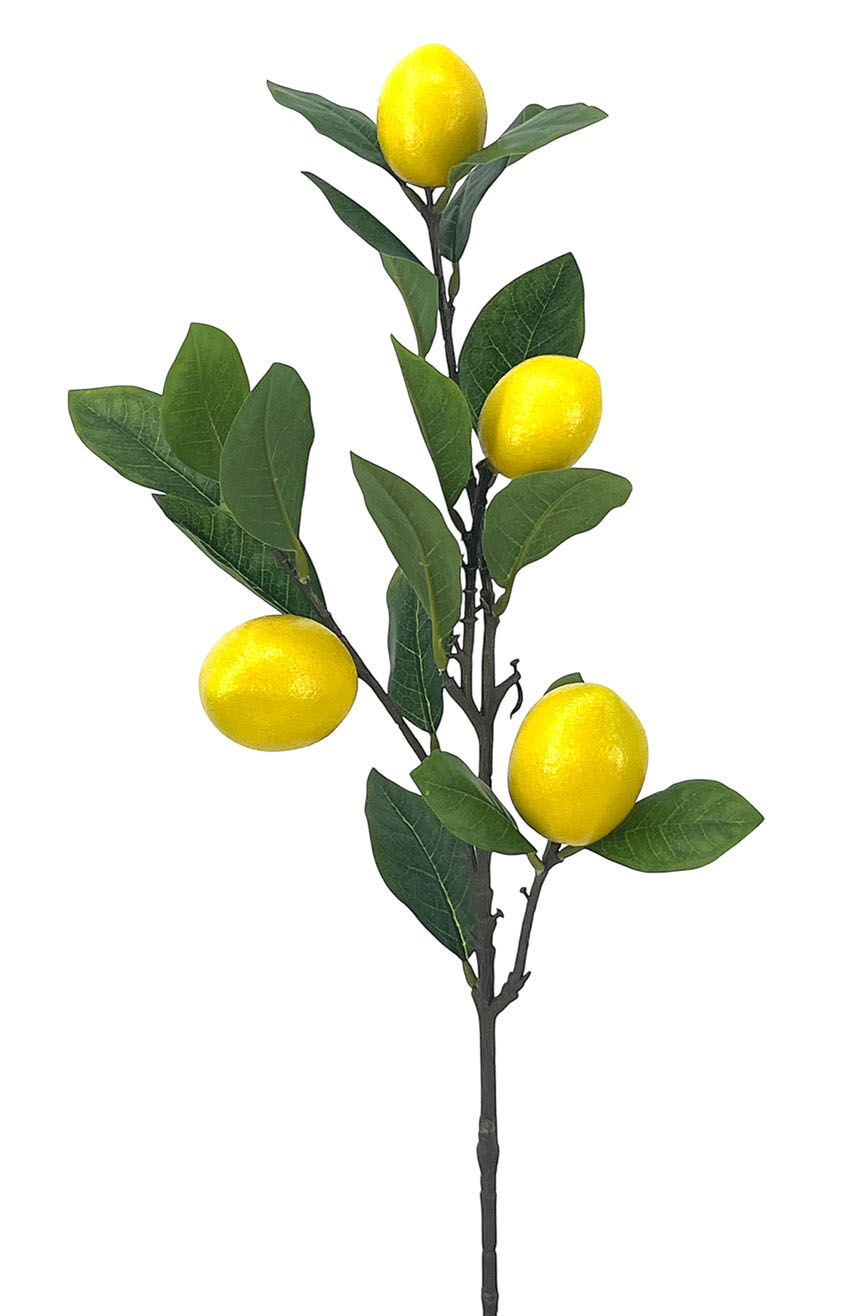 R.Limones Plástico X4, 68Cm