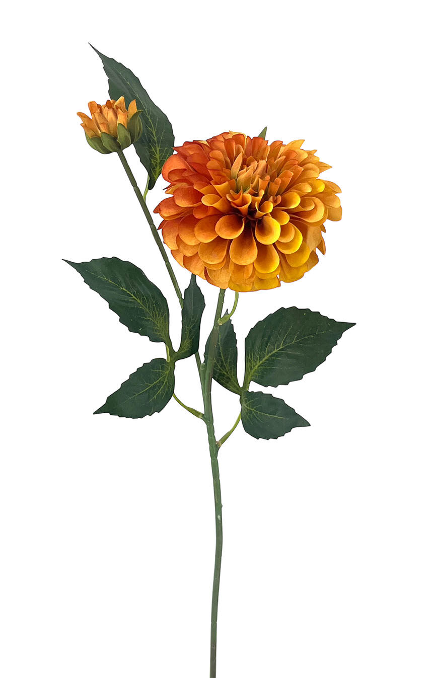 R.Dalia Multip.Polist. Naranja, 62Cm(10Cm)