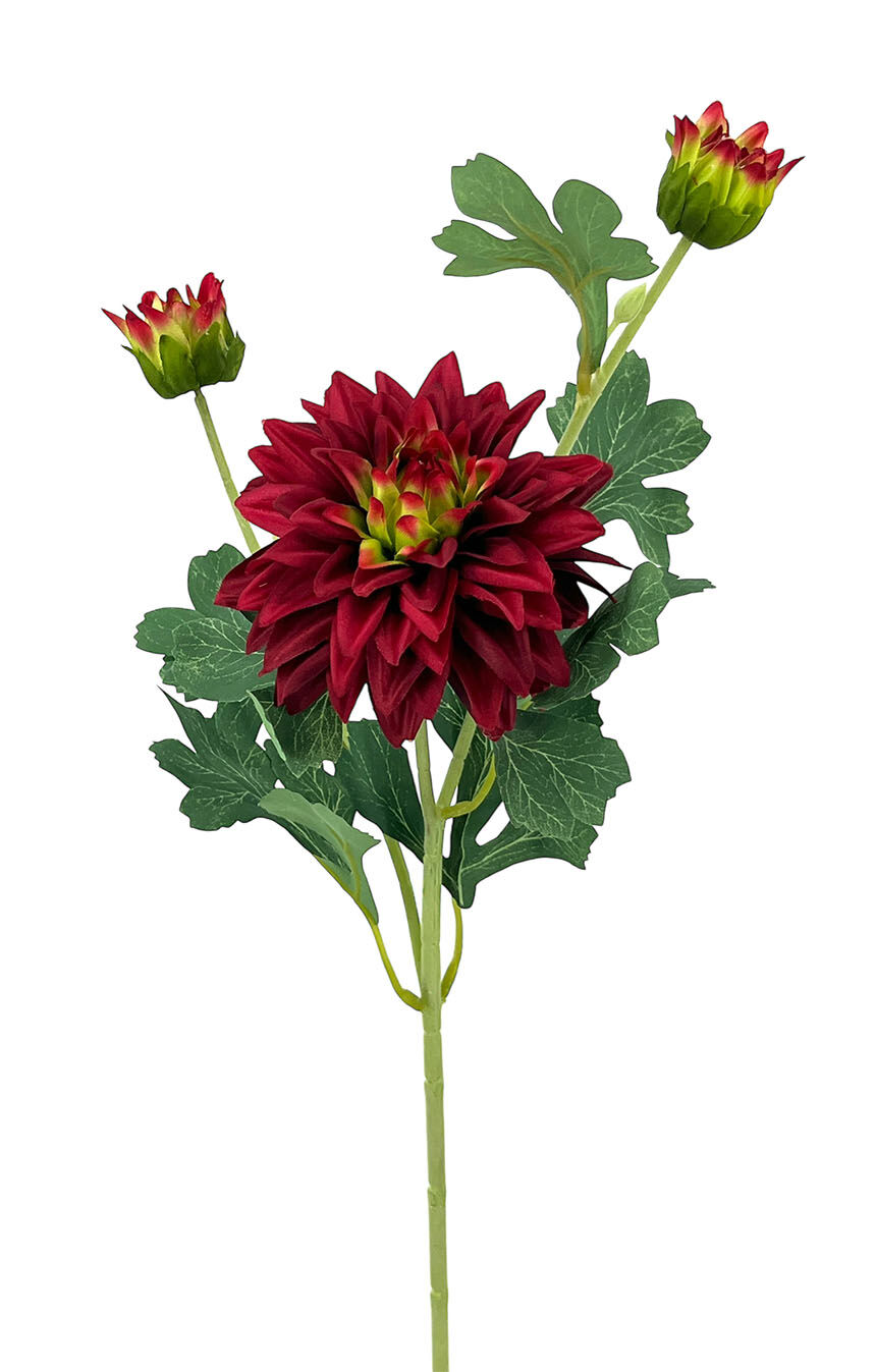 R.Dalia X1+2 Satén Rojo, 62Cm(11Cm)