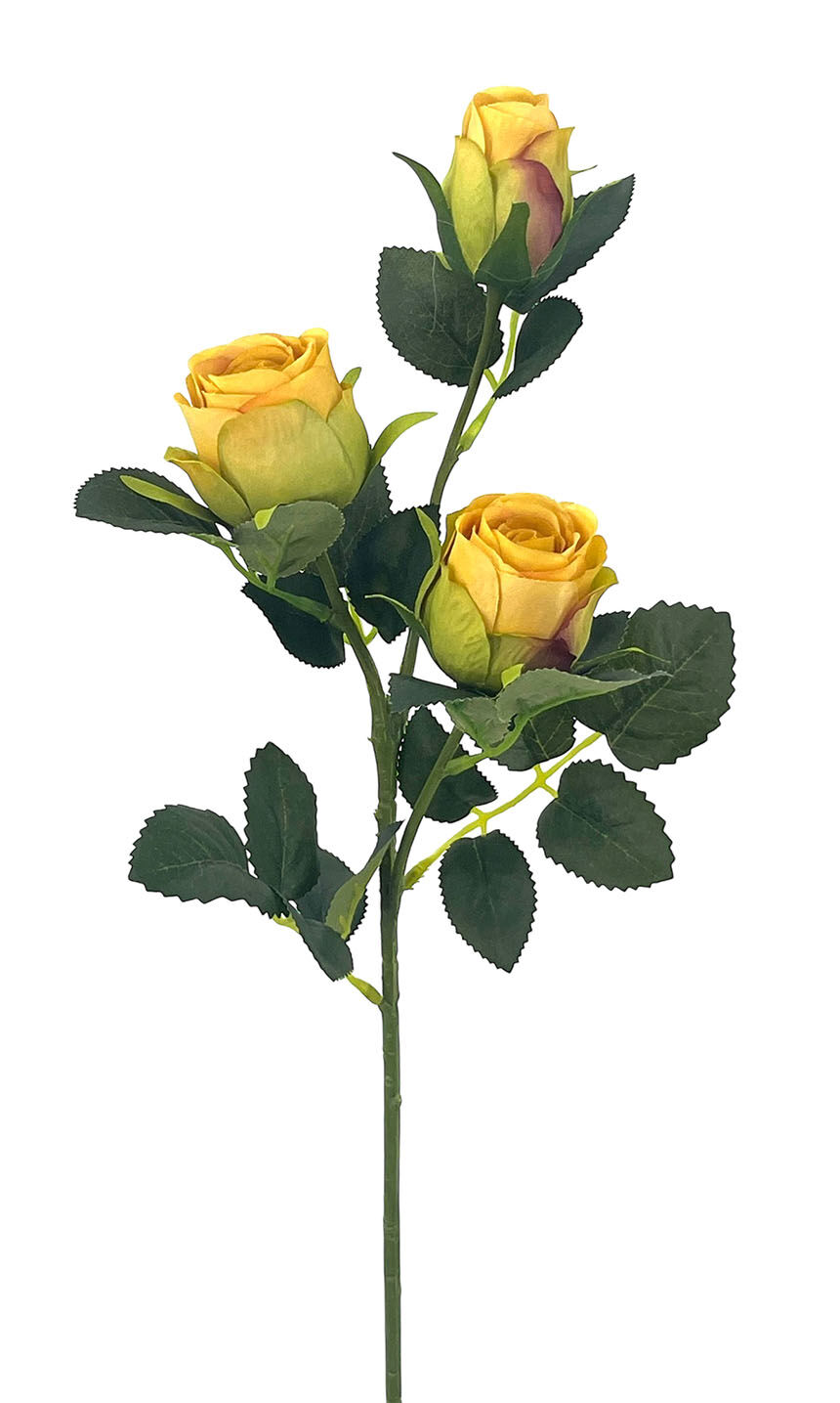 R.Rositas X3 Poliest. Amarillo, 56Cm(5Cm)