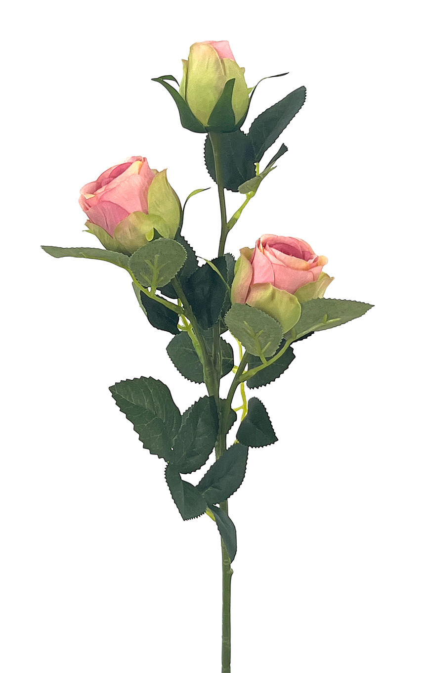 R.Rositas X3 Poliest. Rosa, 56Cm(5Cm)