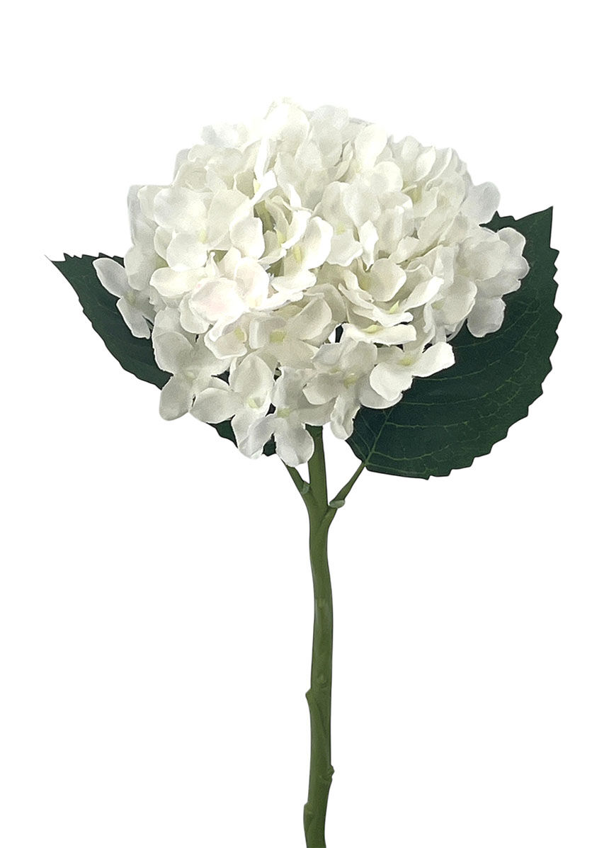 R.Hortensia Poliest.Crema, 38Cm(15Cm)