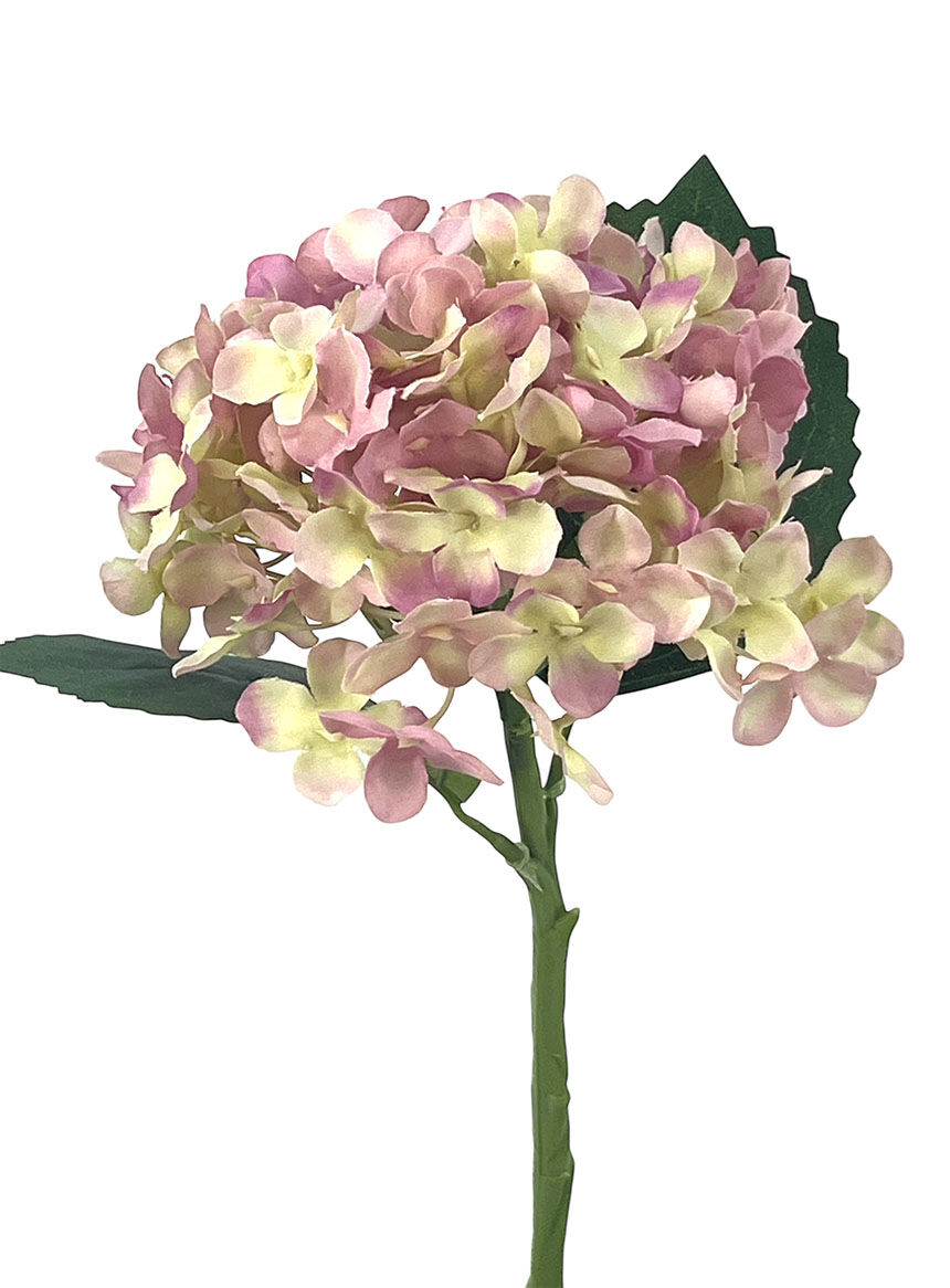 R.Hortensia Poliest.Lila, 38Cm(15Cm)