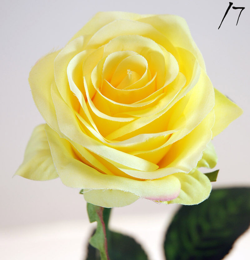 Pink X1 Yellow SUV57cm (8cm)