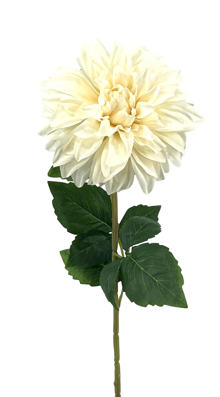 R.Dalia X1 Poliest. Crema, 72Cm(16Cm)