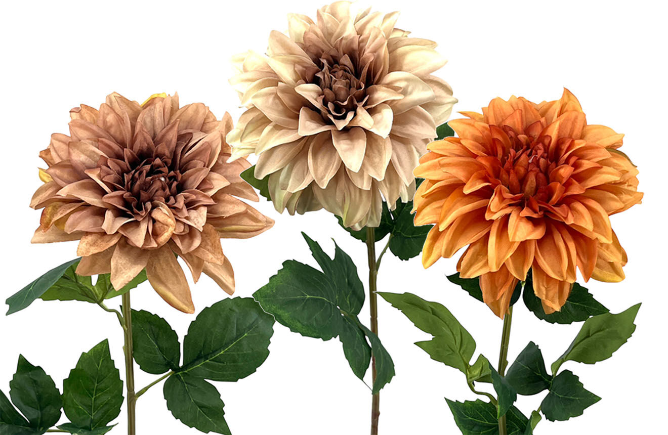 R.Dalia X1 Poliest. Naran.Comb, 72Cm(16Cm)