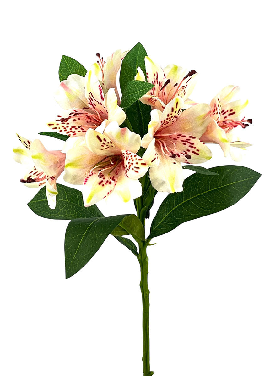 Astromelia X7 Saten Rosa, 75Cm