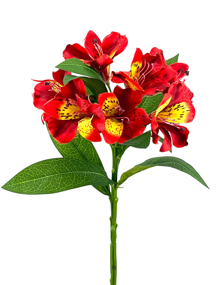 Astromelia X7 Saten Roja, 75Cm
