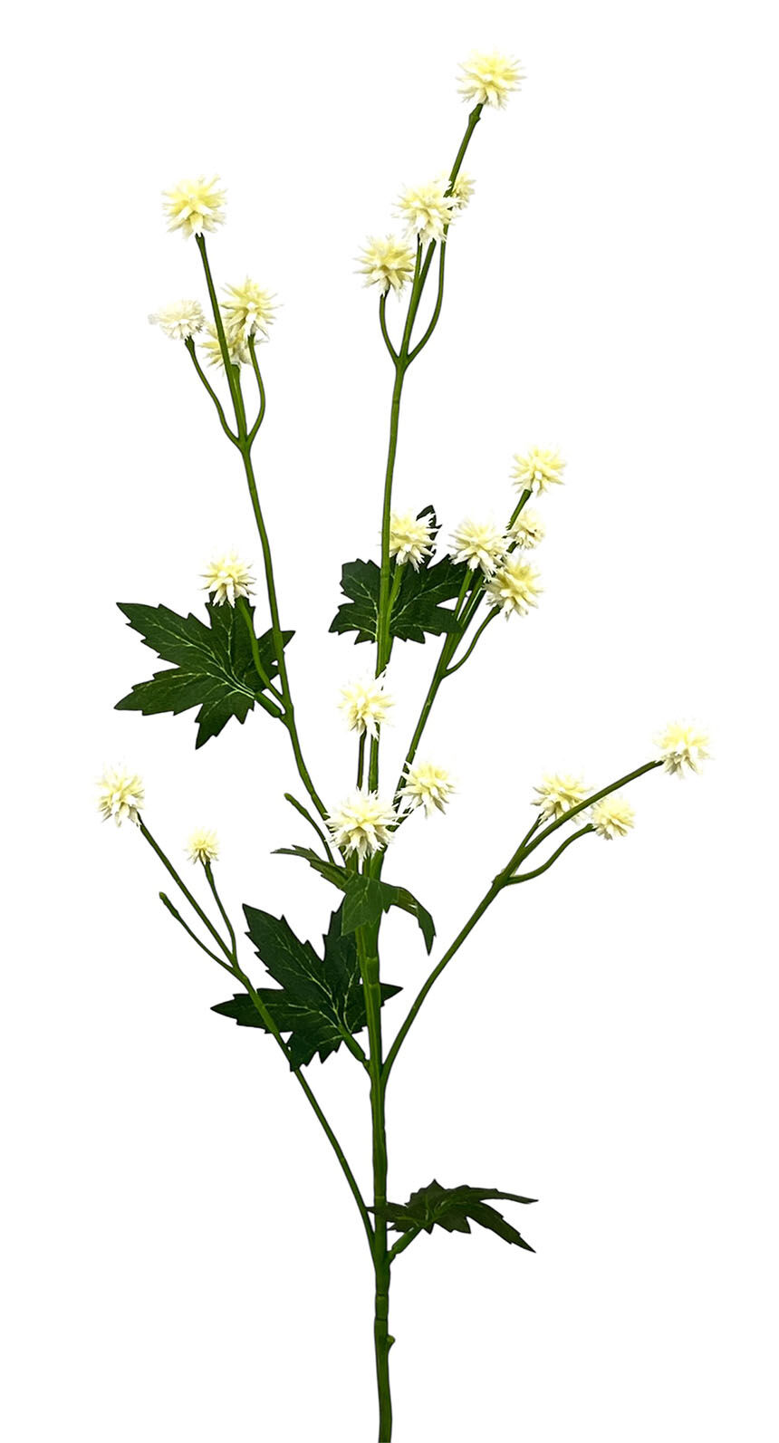 V.Relleno Plást.Crema, 67Cm(40Cm)