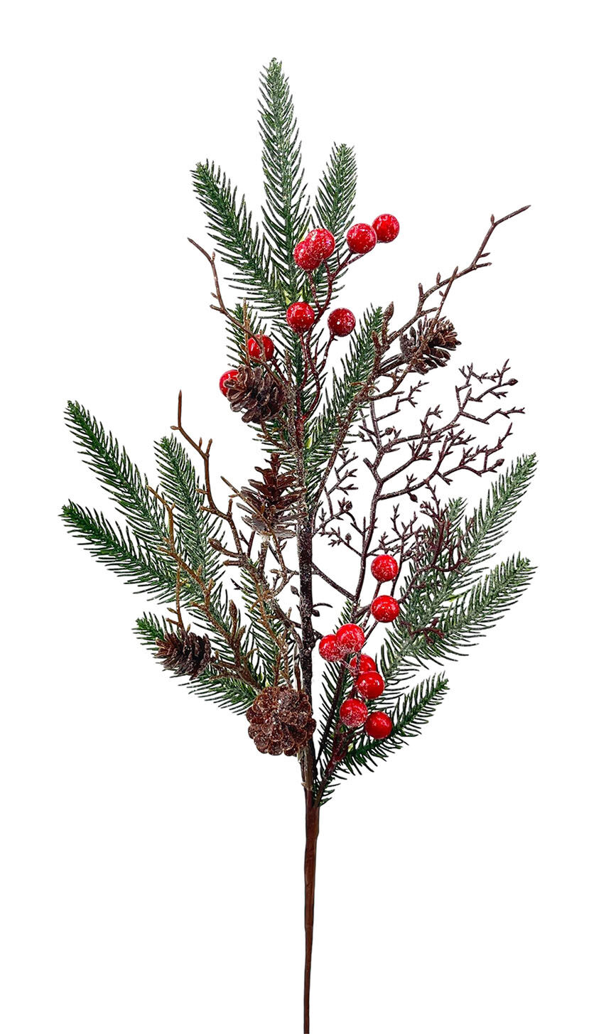 R.Berries/Pino Rojo, 72Cm(40Cm)