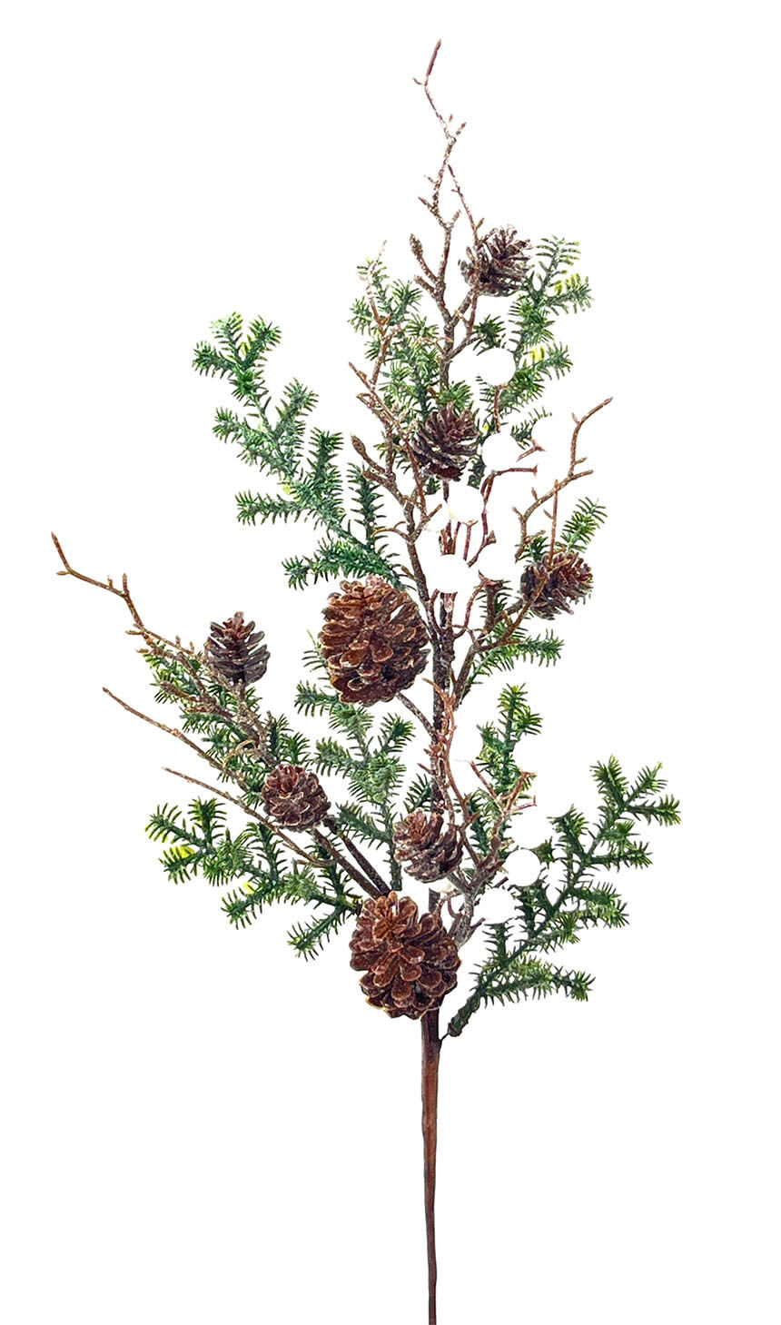 R.Berries/Pino Blanco, 72Cm(40Cm)