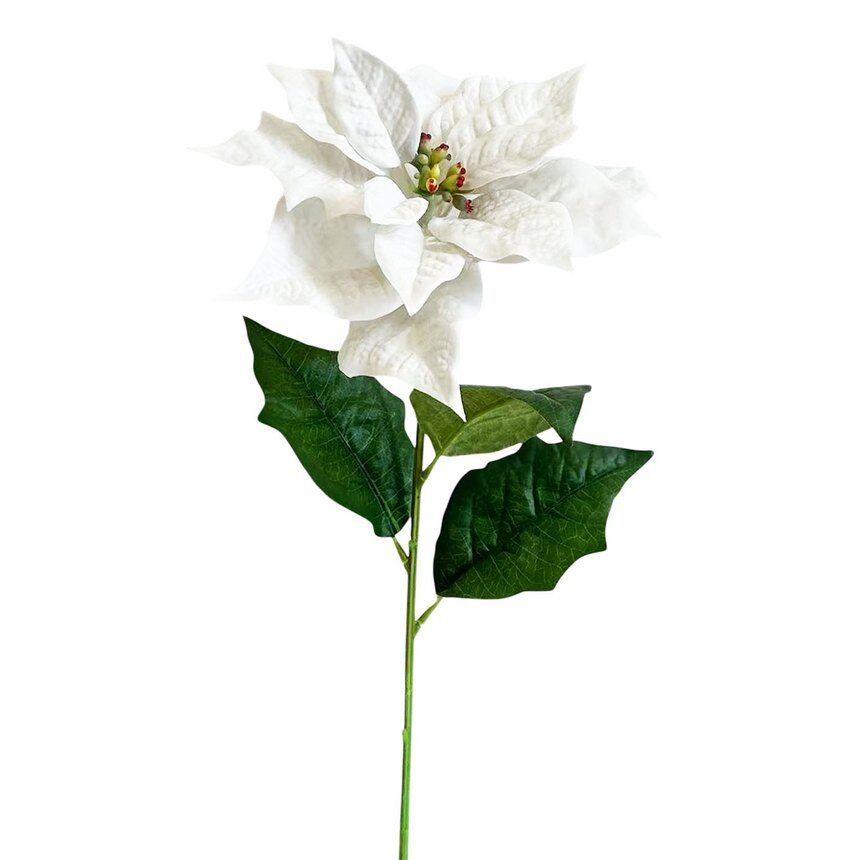 Pascuero X1 Micro Terciop.Blanco, 74Cm(26Cm)
