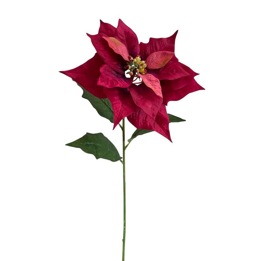 Pascuero X1 Micro Terciop.Fucshia, 74Cm(26Cm)