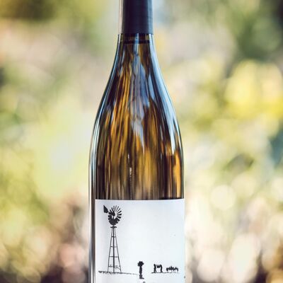 Vin Blanc bio 2022 - Jean Rêve