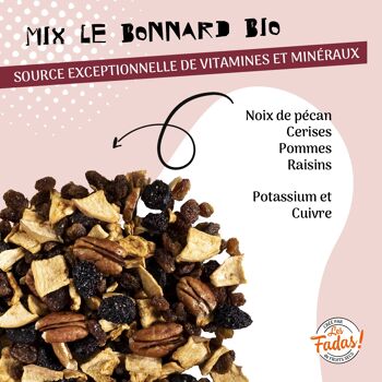 FRUITS SECS / MIX LE BONNARD BIO 7x125G (noix pécan, cerises, pommes, raisins) 5
