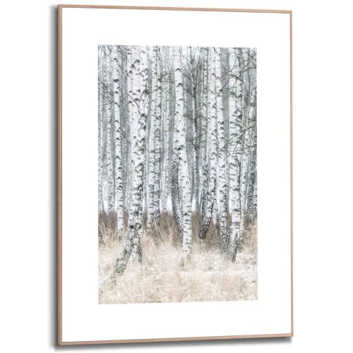 Slim Frame Birch Trees