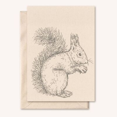 Nachhaltige Karte + Umschlag | Eichhörnchen | Holunder