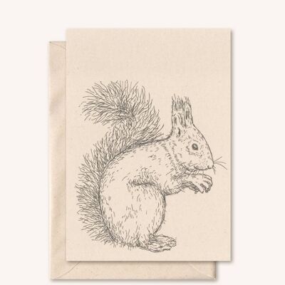 Sustainable card + envelope | Animal Squirrel | elderflower