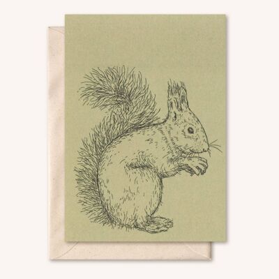 Sustainable card + envelope | Animal Squirrel | Sage