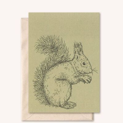 Carte durable + enveloppe | Écureuil animal | sauge
