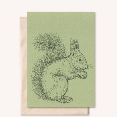Sustainable card + envelope | Animal Squirrel | rosemary